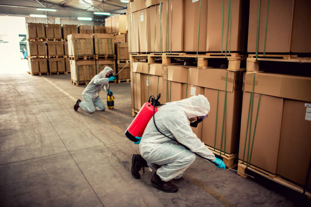 Best Pest Removal Services  in De Soto, MO