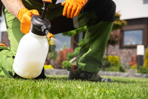 Best Bed Bug Extermination  in De Soto, MO