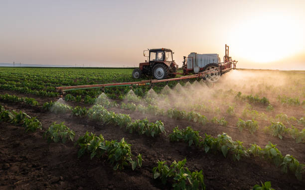 Pest Control Cost in De Soto, MO