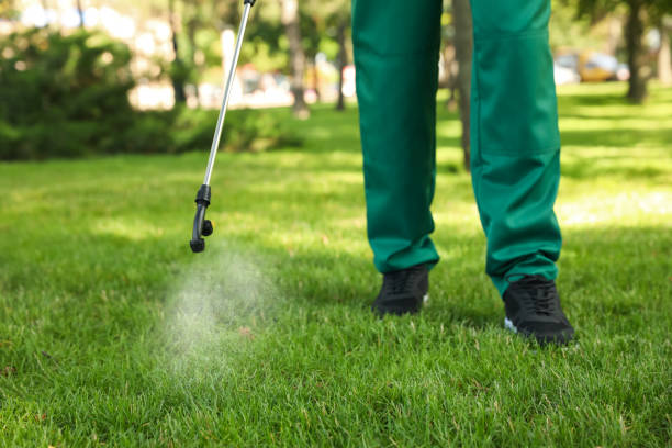 Best Mosquito Control Services  in De Soto, MO