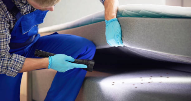 Best Cockroach Control Services  in De Soto, MO