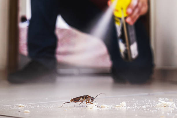 Best Pest Control for Businesses  in De Soto, MO