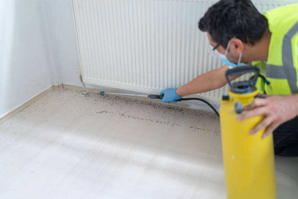 Best Best Pest Control Companies  in De Soto, MO