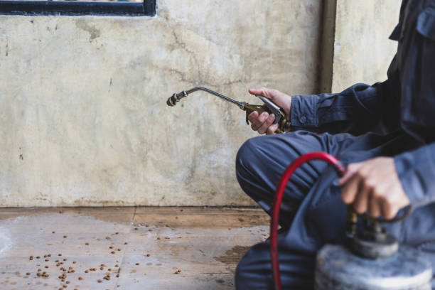 Best Best Pest Control Companies  in De Soto, MO